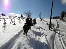 Canada-Quebec-Appalachian Inn to Inn Ride in Quebec